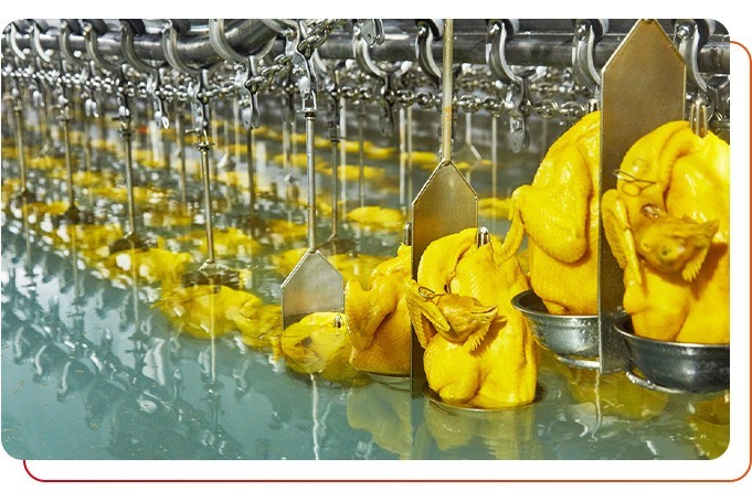 預(yù)制菜供應(yīng)商產(chǎn)品安全衛(wèi)生嗎？